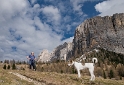 Kopie von Felix Südtirol D35_4739 als Smart-Objekt-1 Kopie